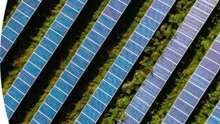 Photo supplied by SAPVIA